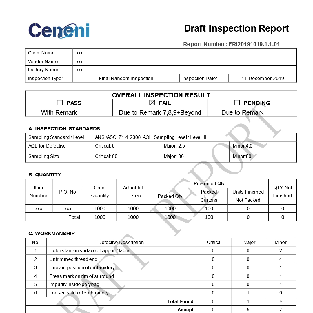 Draft Report Template